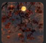 Captura de pantalla 2026-07-09 165034.png
