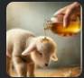 Captura de pantalla 2026-07-10 180525.png